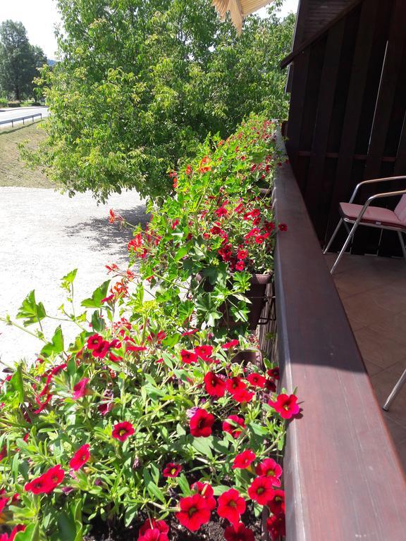 House Anamarija Hotel Seliste Dreznicko Exterior foto